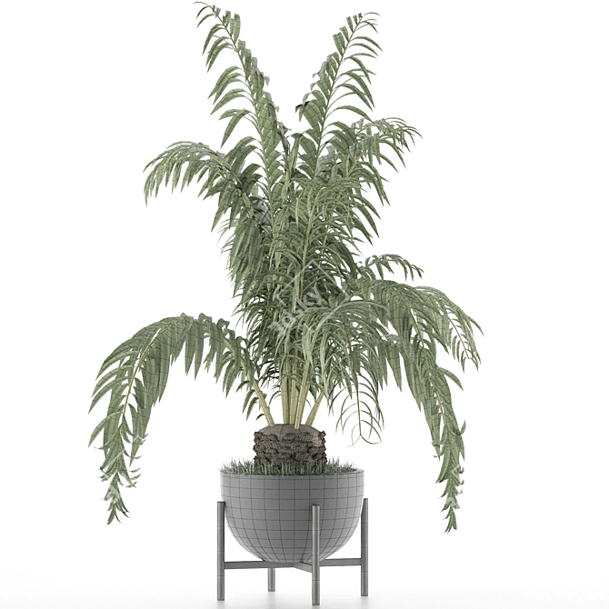 Exotic Palm: House Plant 42 3D model image 4