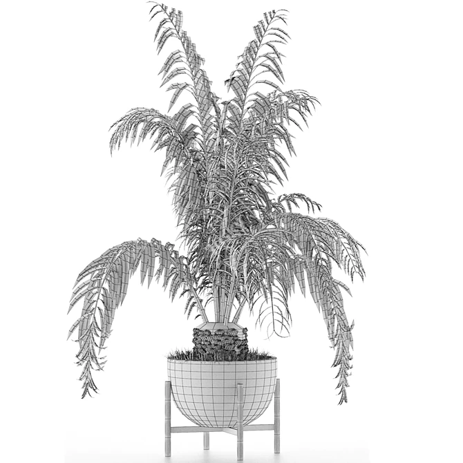 Exotic Palm: House Plant 42 3D model image 5