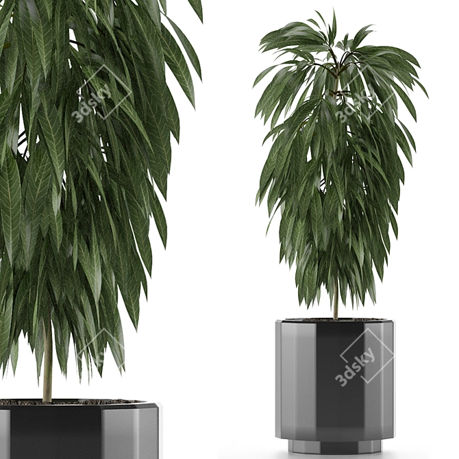 Exotic Palm Tree: Single Plant 02 3D model image 1