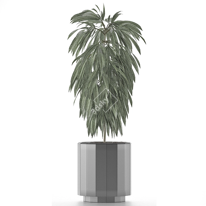 Exotic Palm Tree: Single Plant 02 3D model image 4