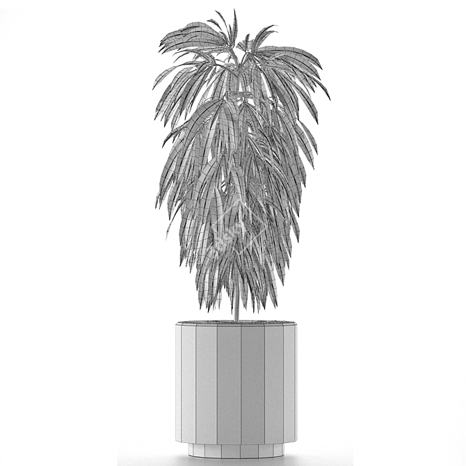 Exotic Palm Tree: Single Plant 02 3D model image 5