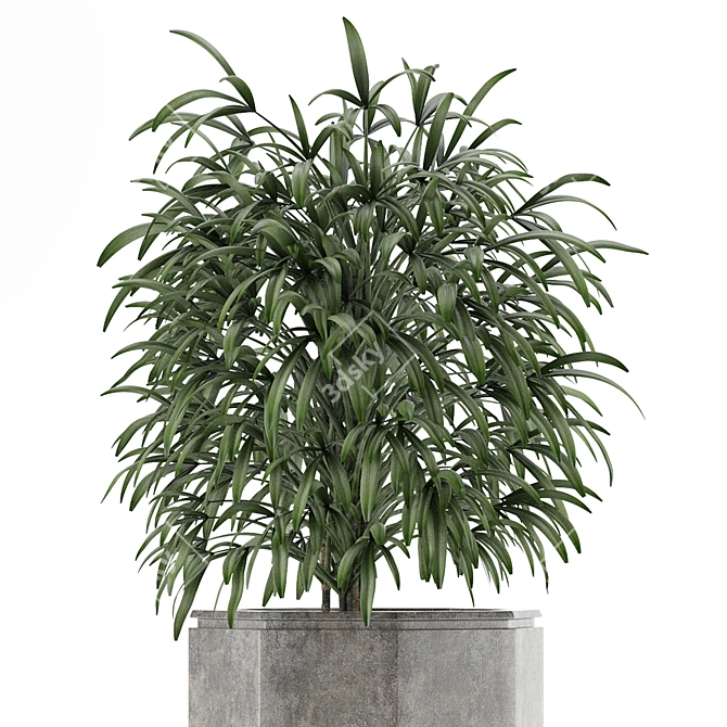 Exotic Palm: Single Plant 04 3D model image 2