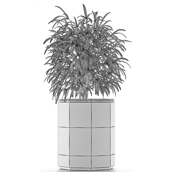 Exotic Palm: Single Plant 04 3D model image 5