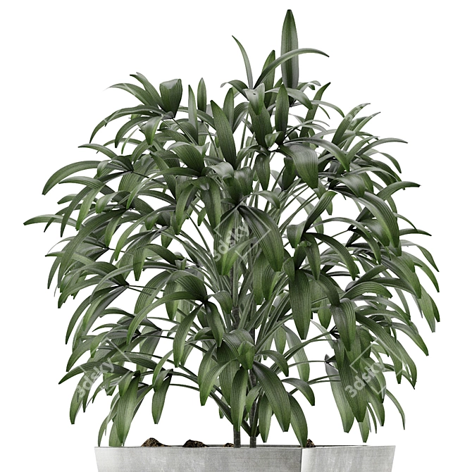 Exotic Palm Tree: Single Plant 05 3D model image 2