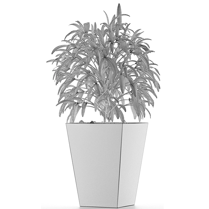 Exotic Palm Tree: Single Plant 05 3D model image 5