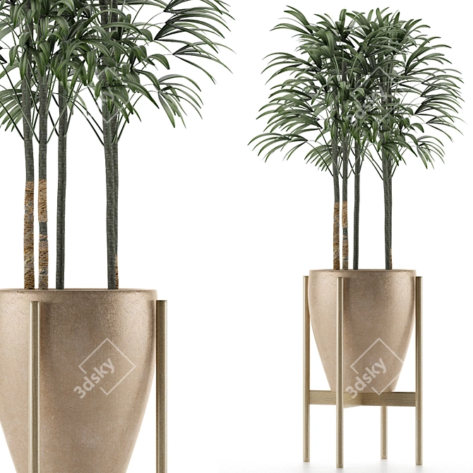 Exotic Palm Tree - Single Plant 10 3D model image 1