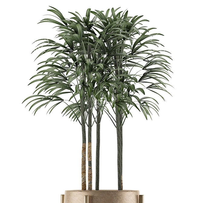 Exotic Palm Tree - Single Plant 10 3D model image 3