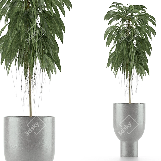 Tropical Elegance: Single Plant 11 3D model image 1