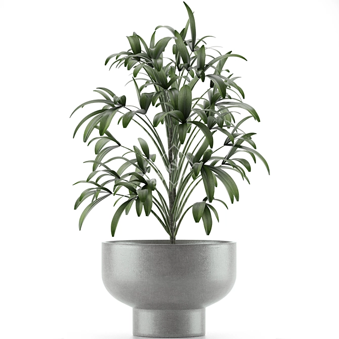 Exotic Palm Tree Pot - Single Plant 12 3D model image 2