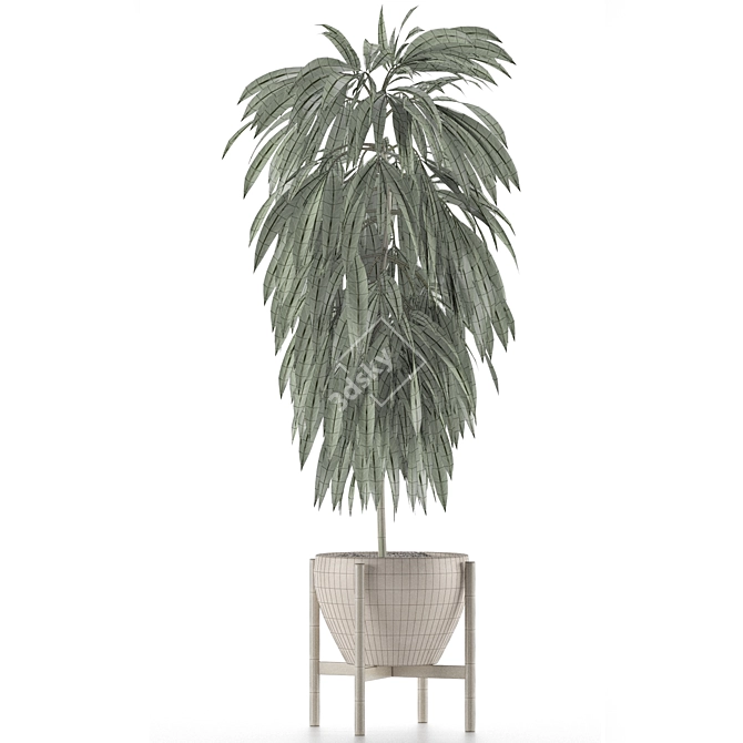 Exotic Palm Tree: Single Plant 13 3D model image 3