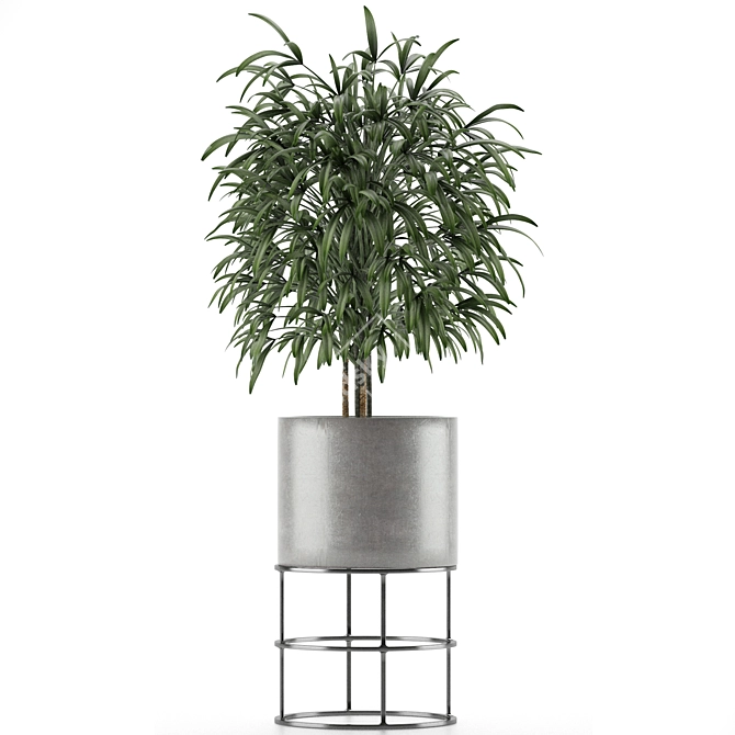 Exotic Palm Tree: Single Plant 14 3D model image 2