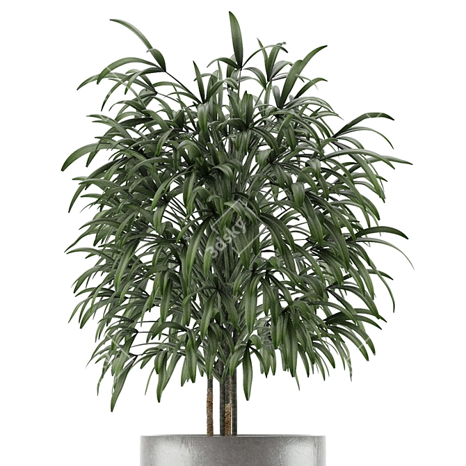 Exotic Palm Tree: Single Plant 14 3D model image 3