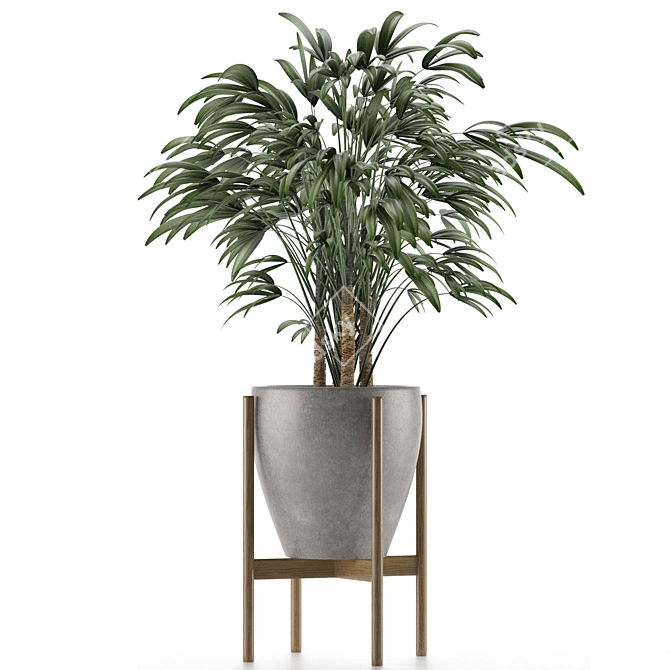 Exotic Single Palm Tree 3D model image 2