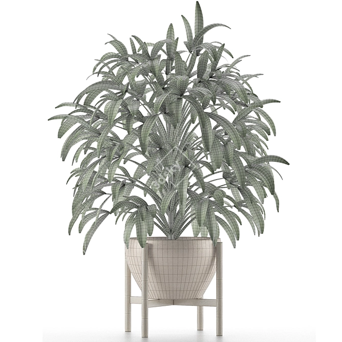 Tropical Palm Oasis 3D model image 3