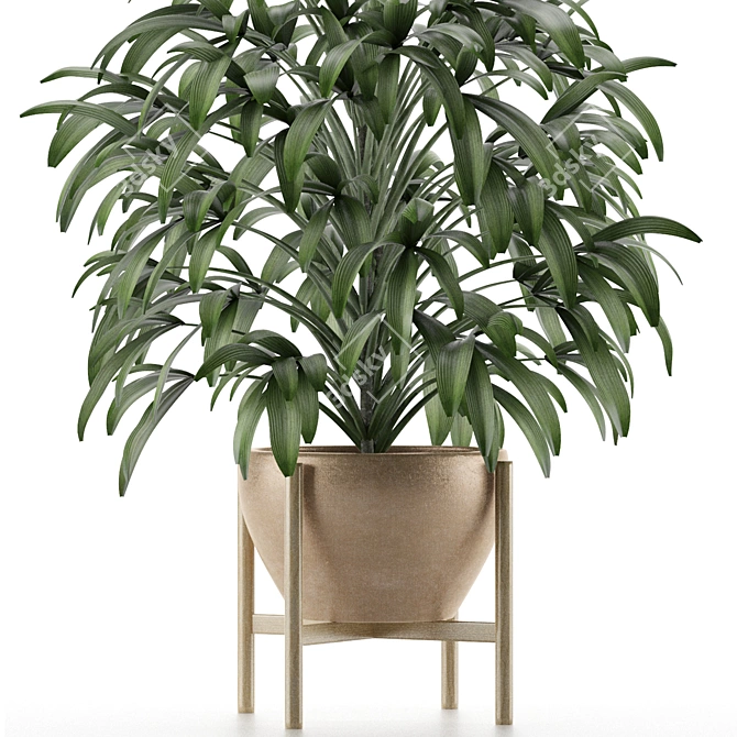 Tropical Palm Oasis 3D model image 4