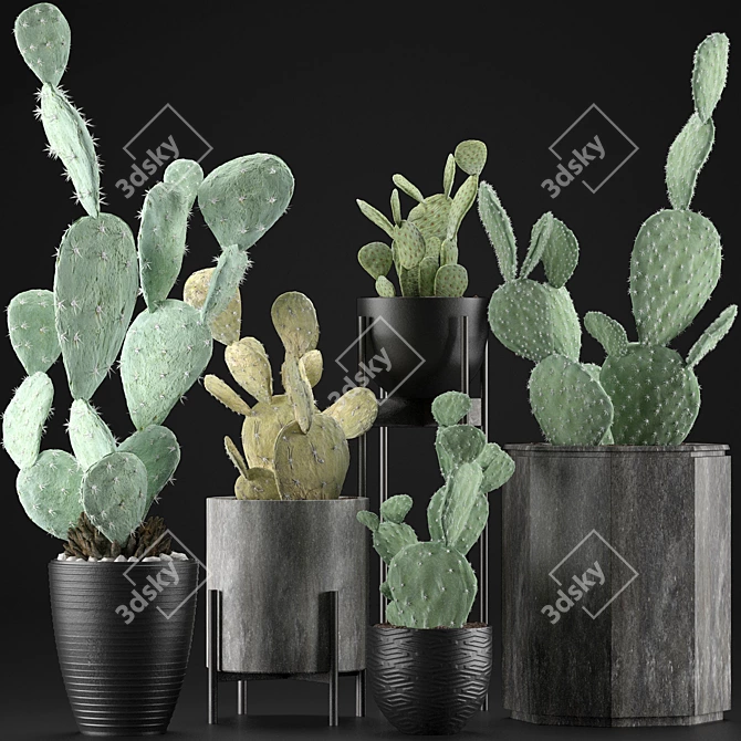 Exotic Plant Collection: Tropics in a Pot 3D model image 2