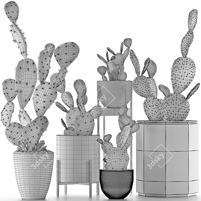 Exotic Plant Collection: Tropics in a Pot 3D model image 5