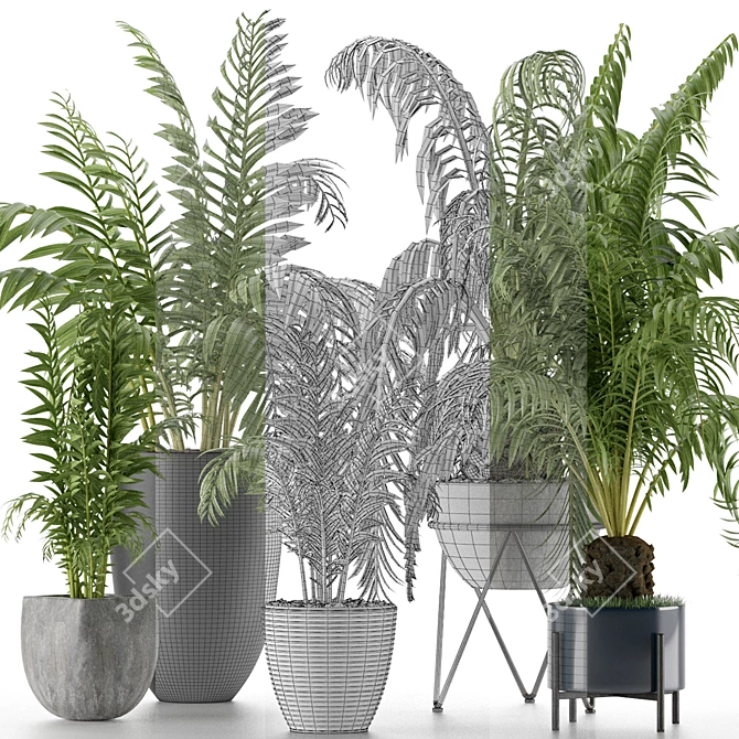 Exotic Palm Trees: Plants Collection 3D model image 4