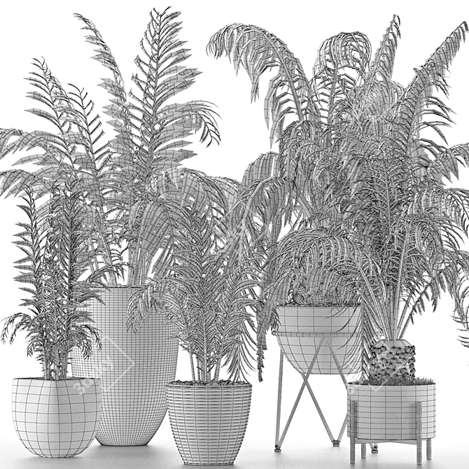 Exotic Palm Trees: Plants Collection 3D model image 5