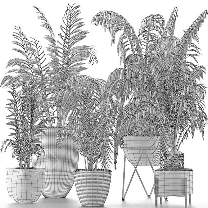 Exotic Palm Trees: Plants Collection 3D model image 9
