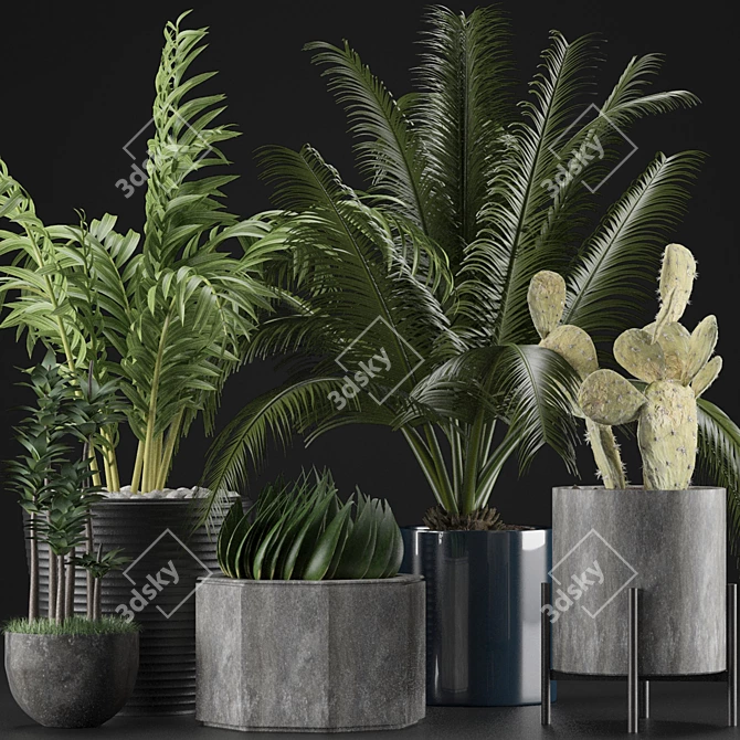 Title: Exotic Plants Collection 3D model image 1
