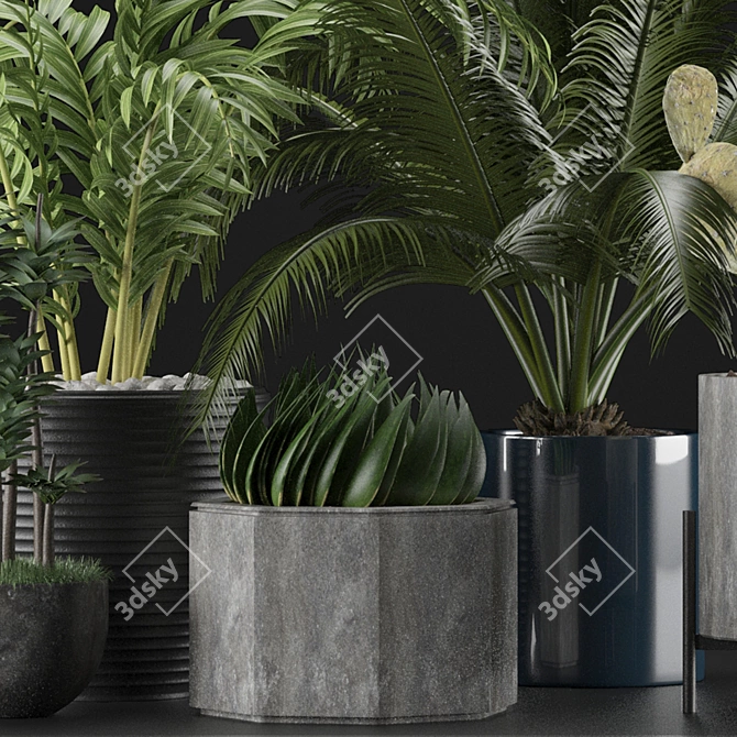 Title: Exotic Plants Collection 3D model image 2