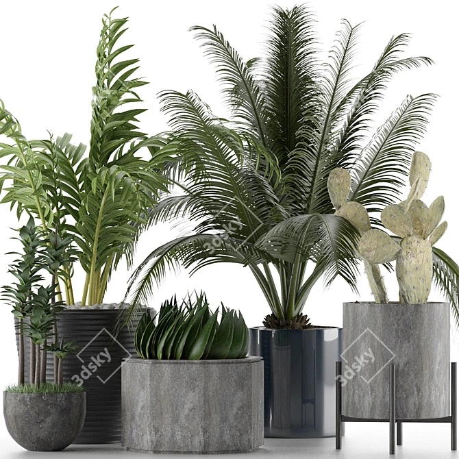 Title: Exotic Plants Collection 3D model image 3