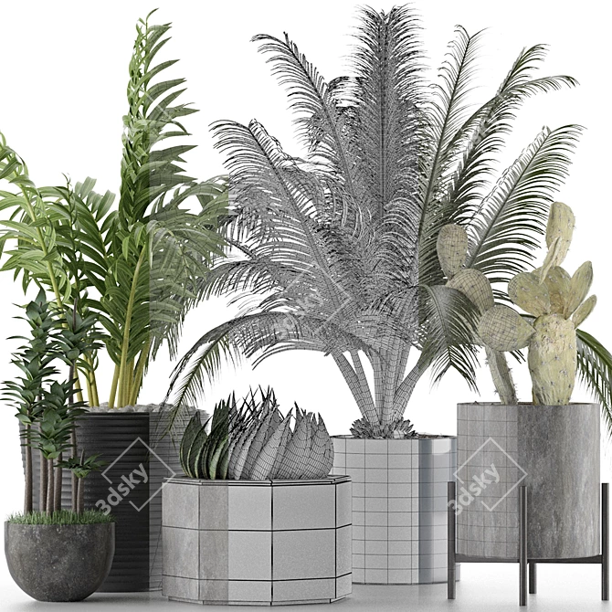 Title: Exotic Plants Collection 3D model image 4