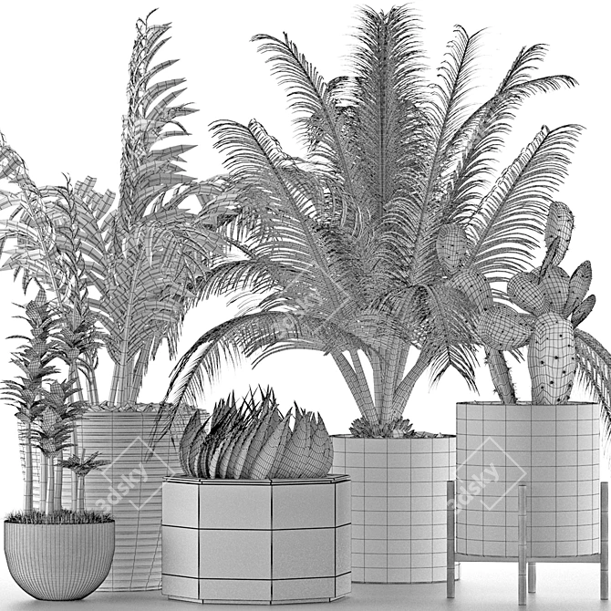 Title: Exotic Plants Collection 3D model image 5