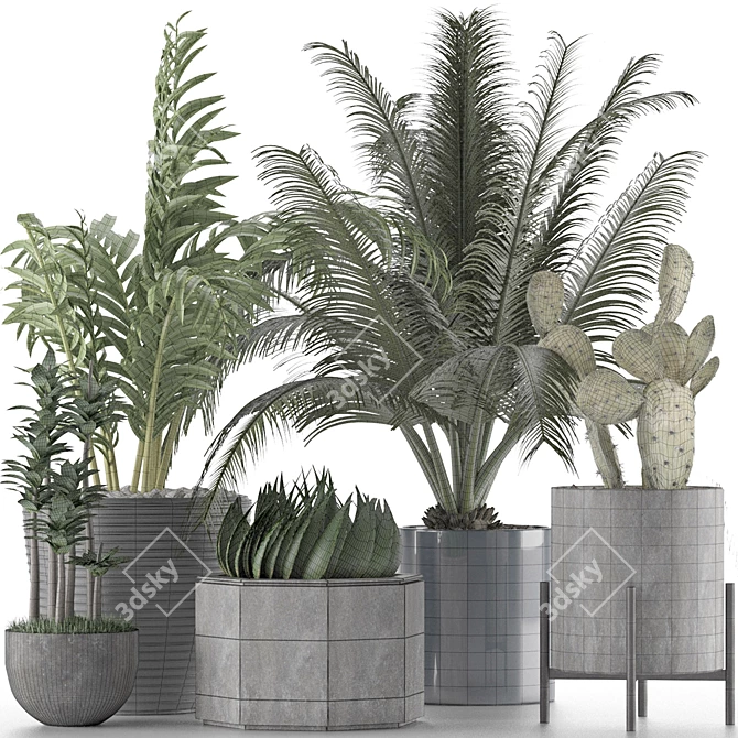 Title: Exotic Plants Collection 3D model image 8