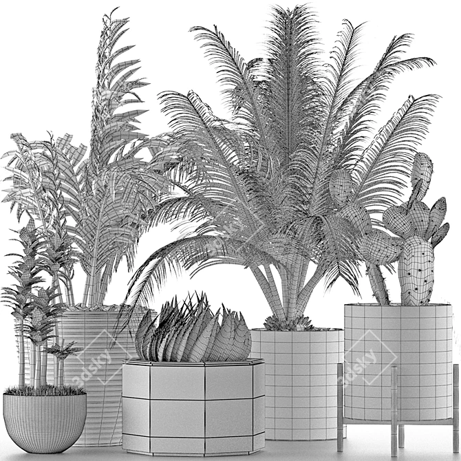 Title: Exotic Plants Collection 3D model image 9