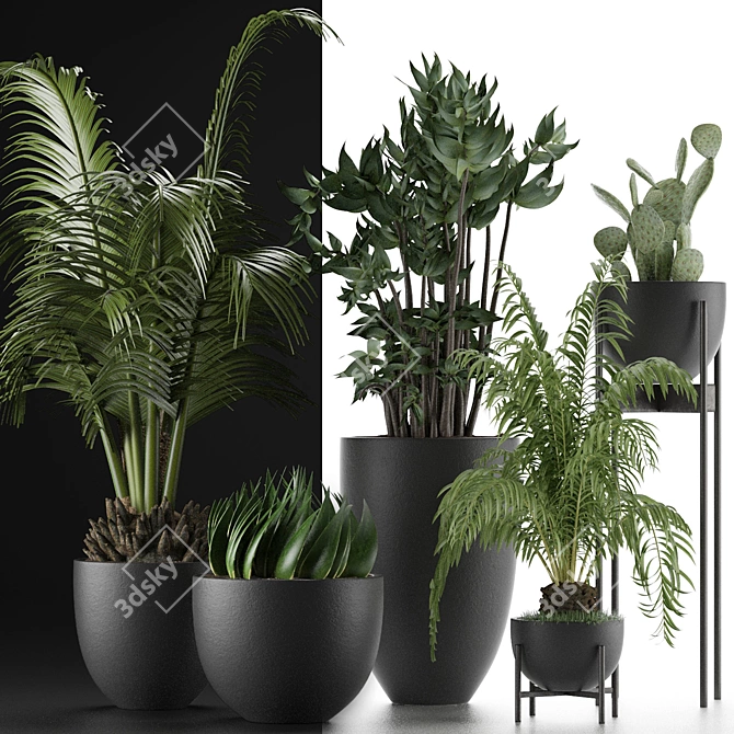 Exotic Plant Collection: Decorative Palm Trees, Office Flowers & More 3D model image 3