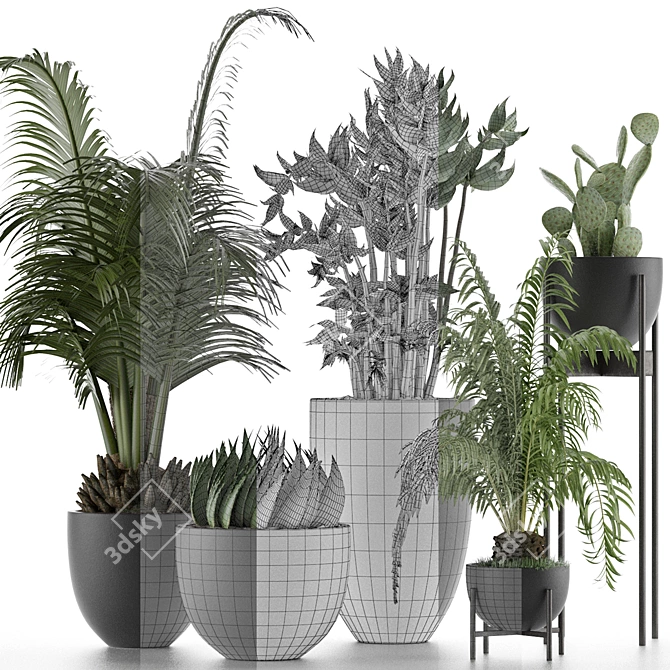 Exotic Plant Collection: Decorative Palm Trees, Office Flowers & More 3D model image 4