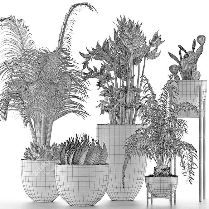 Exotic Plant Collection: Decorative Palm Trees, Office Flowers & More 3D model image 5