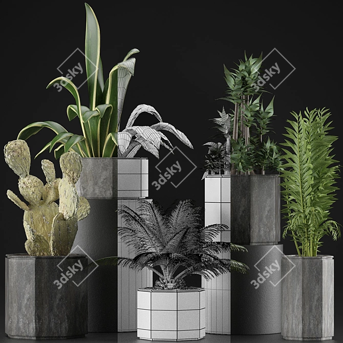 Tropical Oasis: Exotic Plants Collection 3D model image 4