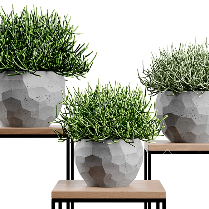 Modern Concrete Vases Set 3D model image 3