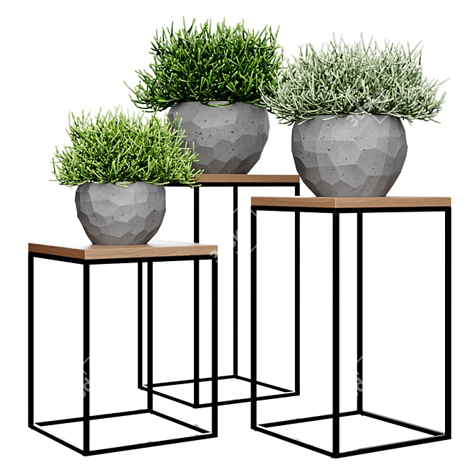 Modern Concrete Vases Set 3D model image 5