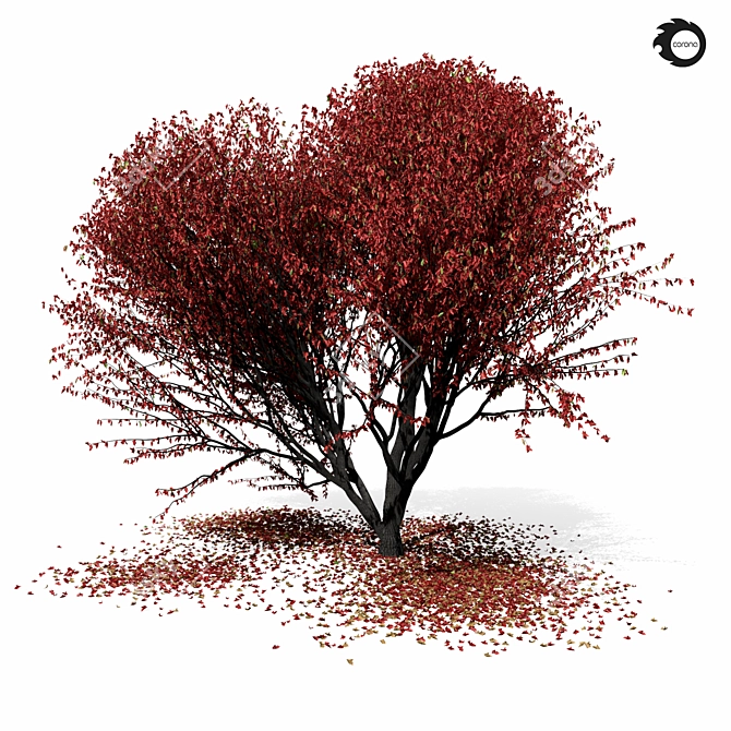 Elegant Maple Tree 8s 3D model image 2