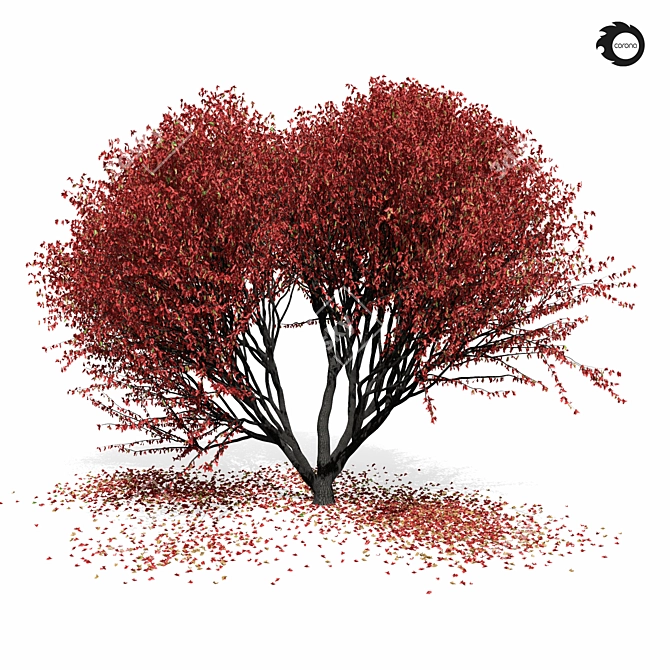 Elegant Maple Tree 8s 3D model image 3