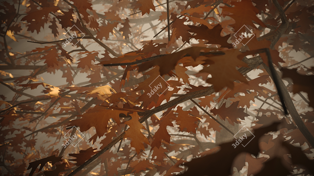 Seasonal Oak Tree: Summer & Autumn 3D model image 4