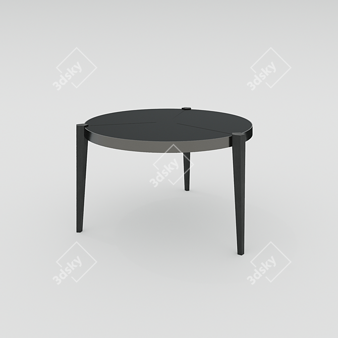 Soul Wood SJ-004 Coffee Table 3D model image 1