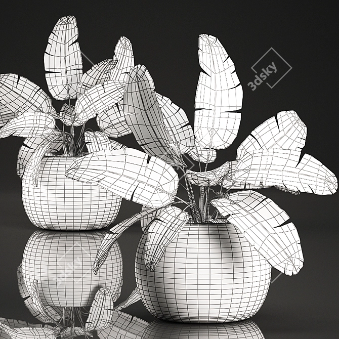 Exotic Indoor Plant Collection 3D model image 5