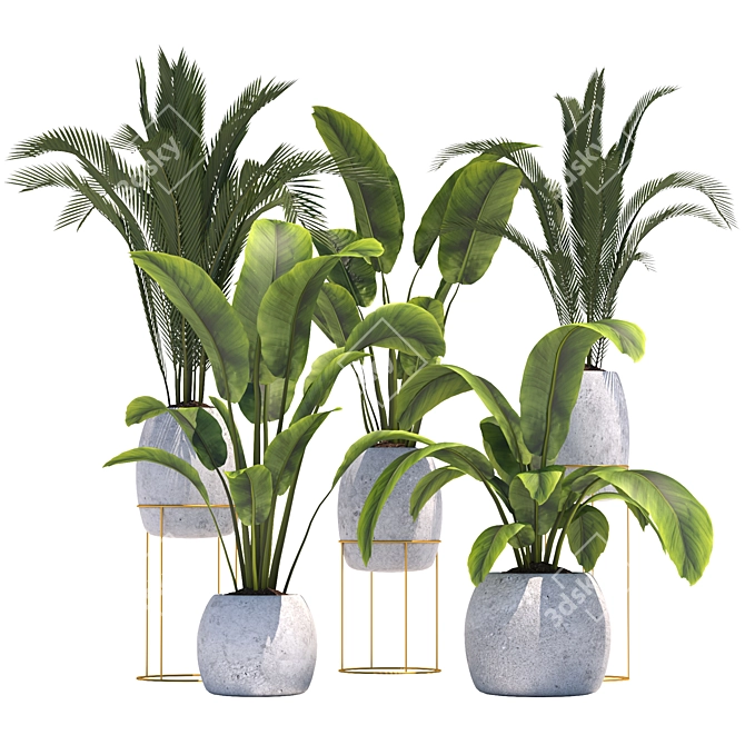 Tropical Plant Collection: Palm & Banana 3D model image 1