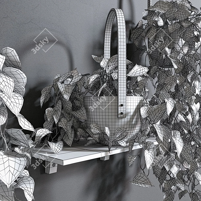 Lush Hanging Scindapsus Duo 3D model image 3