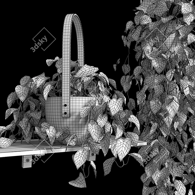 Lush Hanging Scindapsus Duo 3D model image 10