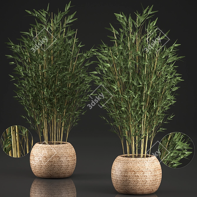 Exotic Bamboo Tree in Rattan Basket - Indoor Tropical Plant Collection 3D model image 1