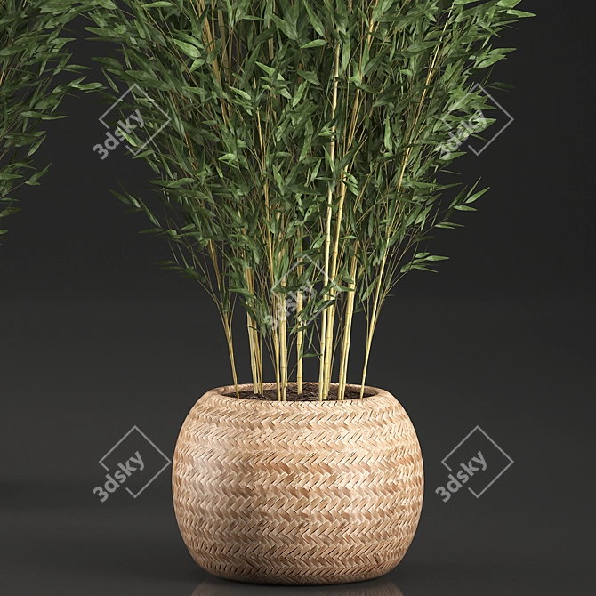 Exotic Bamboo Tree in Rattan Basket - Indoor Tropical Plant Collection 3D model image 3