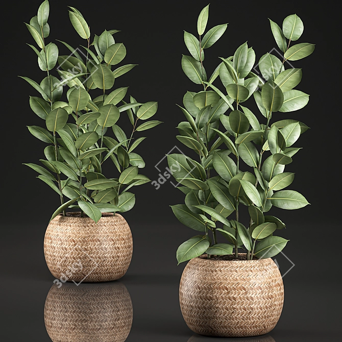 Tropical Ficus in Wicker Basket 3D model image 1