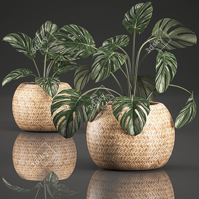 Tropical Monstera in Rattan Basket 3D model image 1