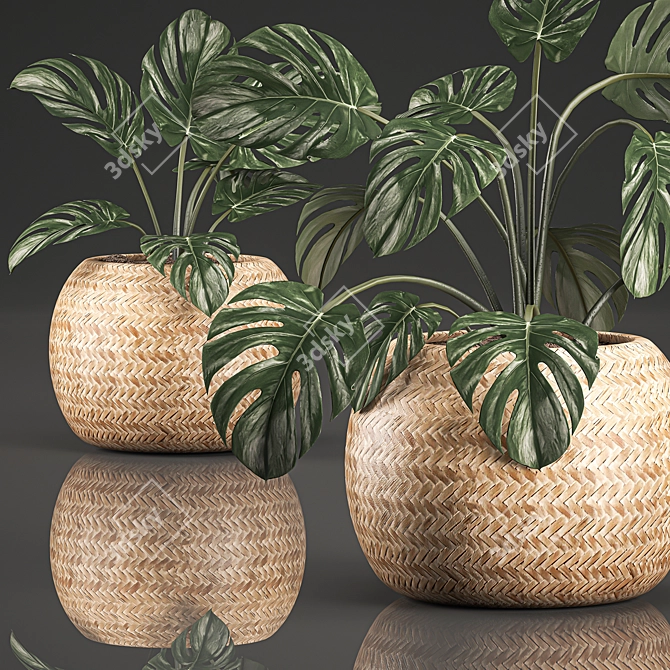 Tropical Monstera in Rattan Basket 3D model image 2